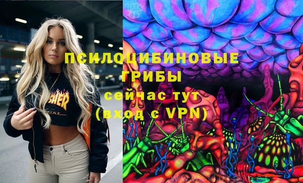 spice Алзамай