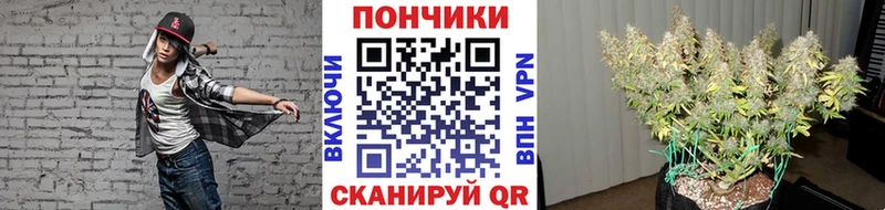Бошки Шишки гибрид МЕГА онион Благодарный
